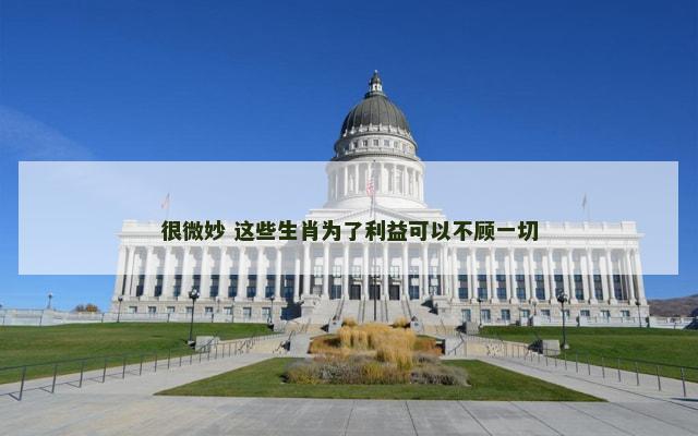 很微妙 这些生肖为了利益可以不顾一切