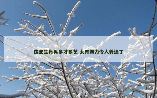 这些生肖男多才多艺 太有魅力令人着迷了