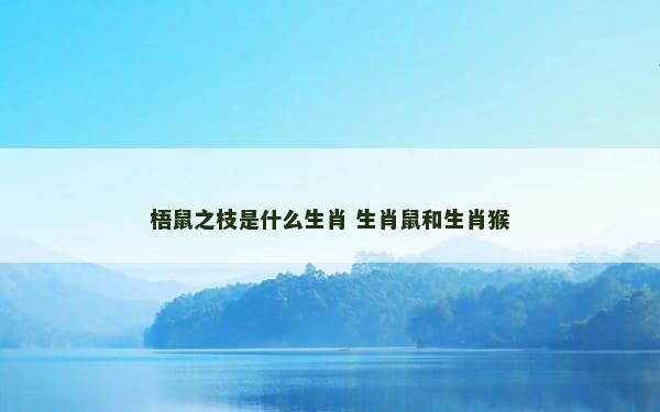 梧鼠之枝是什么生肖 生肖鼠和生肖猴