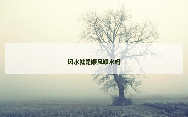 风水就是顺风顺水吗