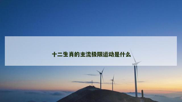 十二生肖的主流极限运动是什么