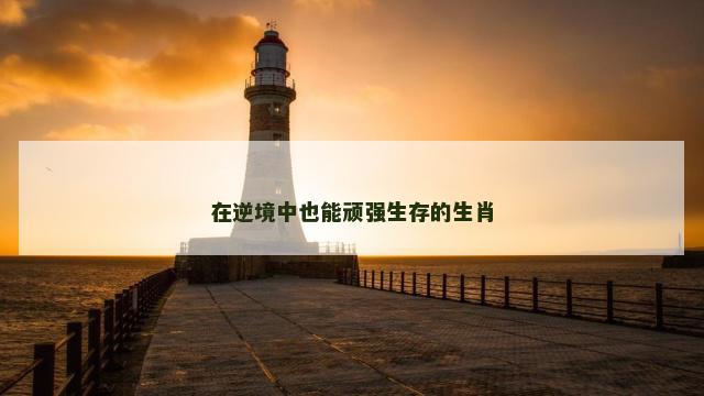 在逆境中也能顽强生存的生肖