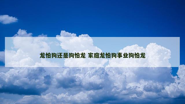 龙怕狗还是狗怕龙 家庭龙怕狗事业狗怕龙