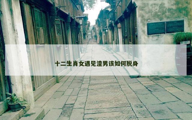 十二生肖女遇见渣男该如何脱身
