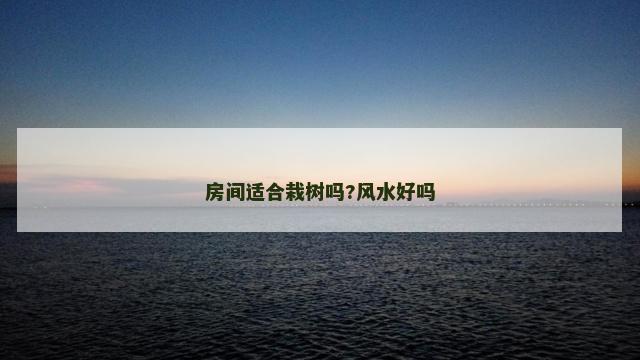 房间适合栽树吗?风水好吗