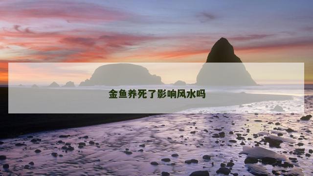 金鱼养死了影响风水吗