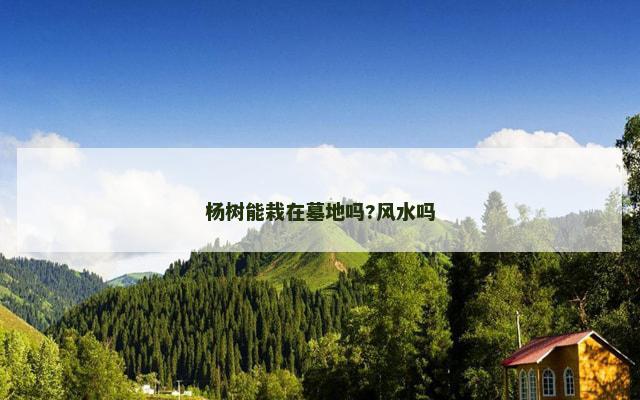 杨树能栽在墓地吗?风水吗