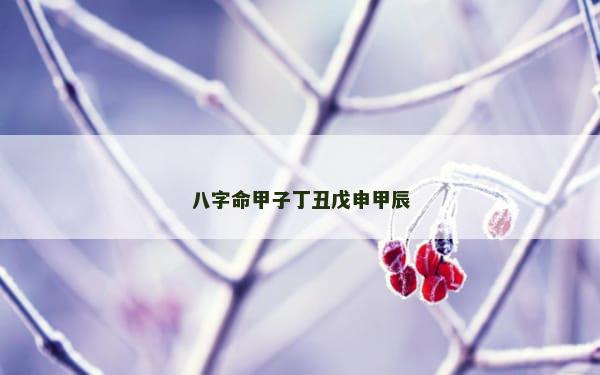 八字命甲子丁丑戊申甲辰