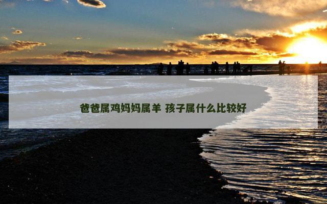 爸爸属鸡妈妈属羊 孩子属什么比较好