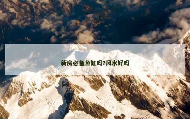 新房必备鱼缸吗?风水好吗