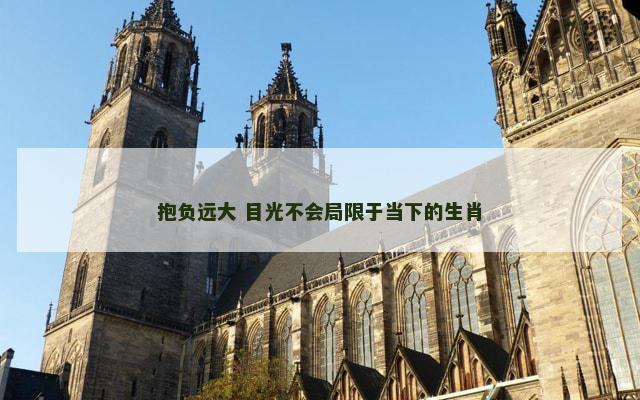 抱负远大 目光不会局限于当下的生肖