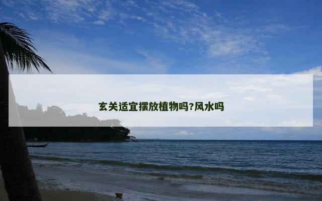玄关适宜摆放植物吗?风水吗