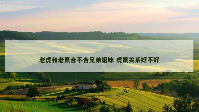 老虎和老鼠合不合兄弟姐妹 虎鼠关系好不好