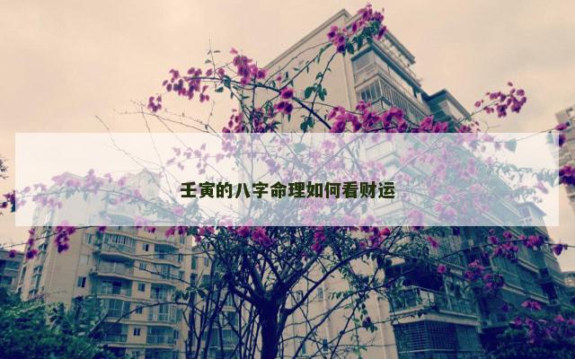 壬寅的八字命理如何看财运