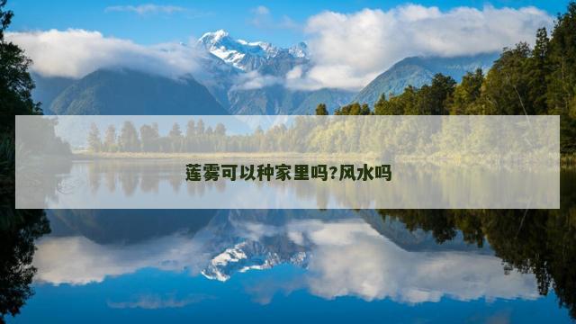 莲雾可以种家里吗?风水吗
