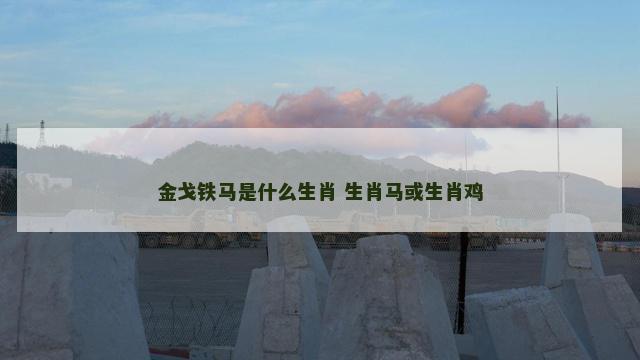 金戈铁马是什么生肖 生肖马或生肖鸡