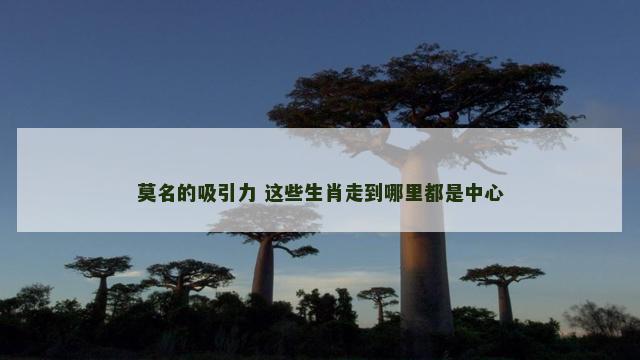 莫名的吸引力 这些生肖走到哪里都是中心