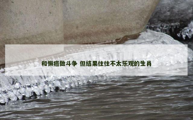 和懒癌做斗争 但结果往往不太乐观的生肖