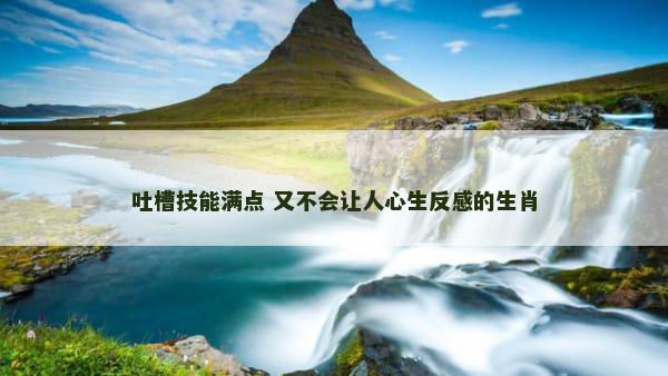 吐槽技能满点 又不会让人心生反感的生肖
