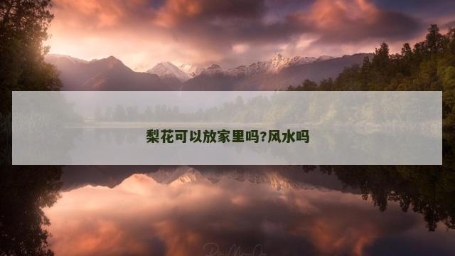 梨花可以放家里吗?风水吗