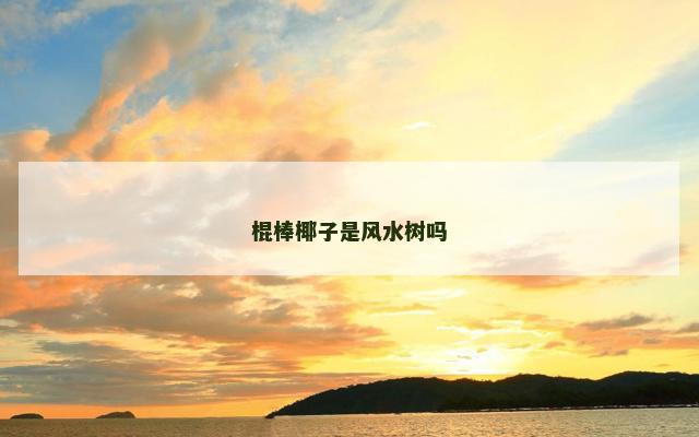 棍棒椰子是风水树吗