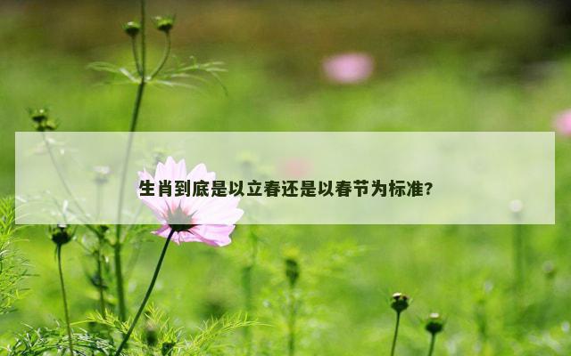 生肖到底是以立春还是以春节为标准?