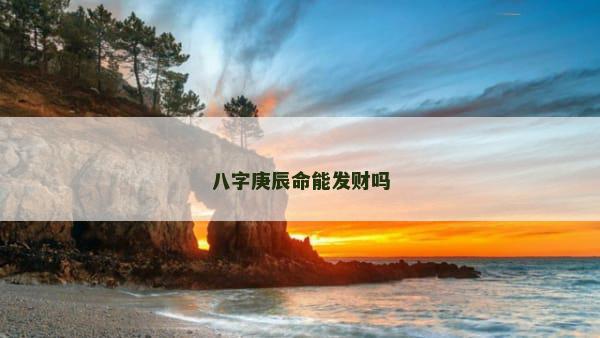 八字庚辰命能发财吗