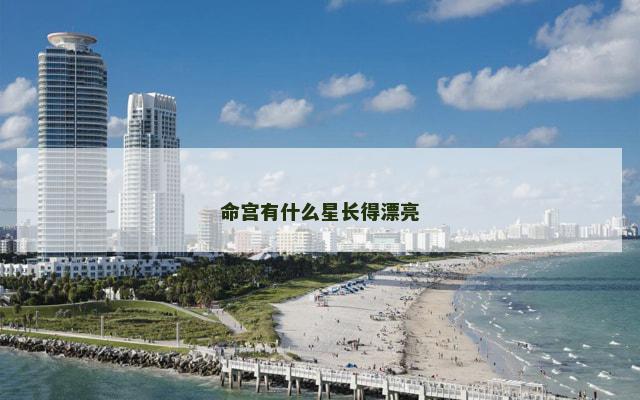 命宫有什么星长得漂亮