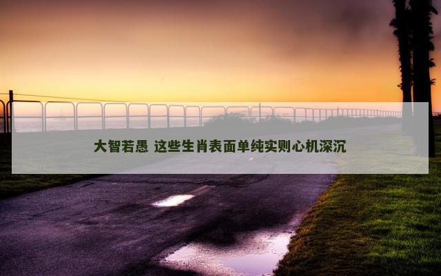 大智若愚 这些生肖表面单纯实则心机深沉