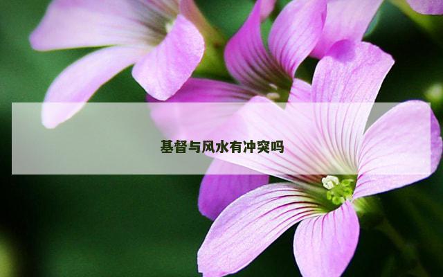 基督与风水有冲突吗