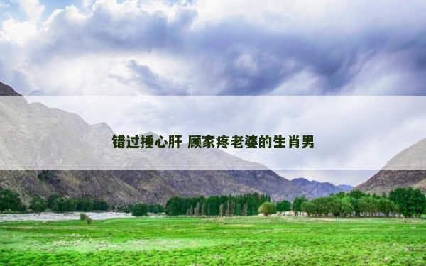 错过捶心肝 顾家疼老婆的生肖男
