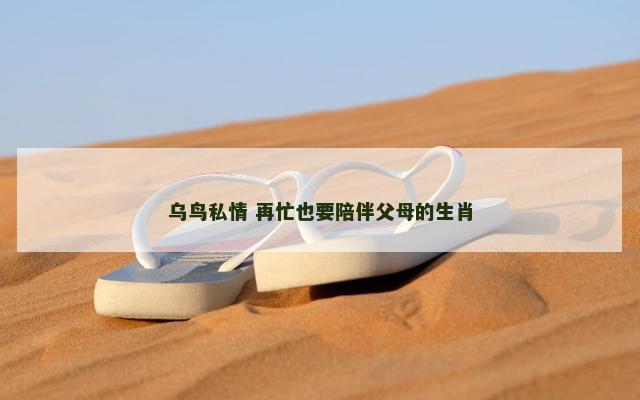 乌鸟私情 再忙也要陪伴父母的生肖