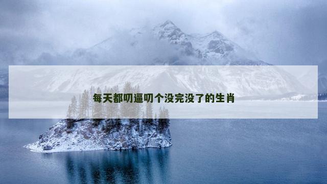 每天都叨逼叨个没完没了的生肖