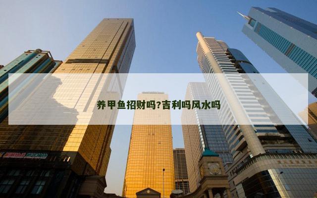 养甲鱼招财吗?吉利吗风水吗