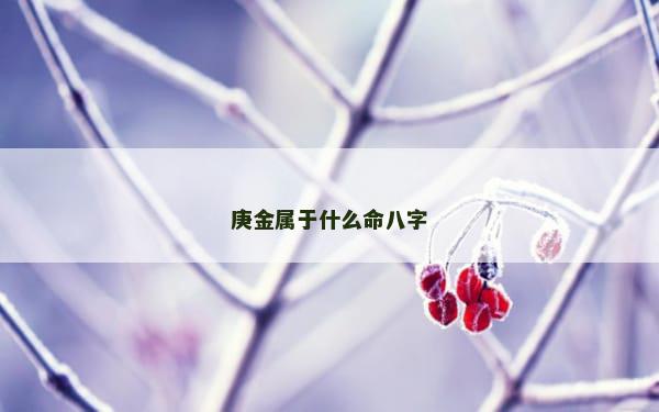 庚金属于什么命八字