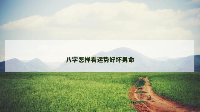 八字怎样看运势好坏男命