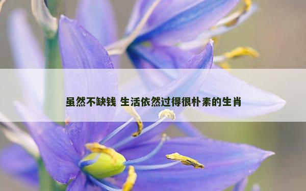 虽然不缺钱 生活依然过得很朴素的生肖