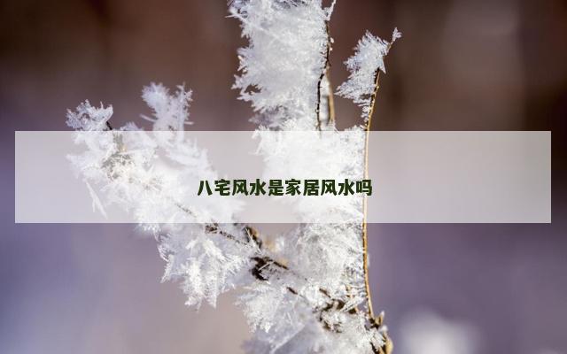 八宅风水是家居风水吗