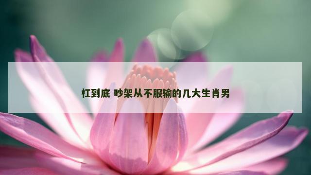 杠到底 吵架从不服输的几大生肖男
