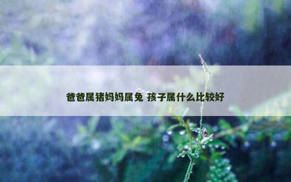 爸爸属猪妈妈属兔 孩子属什么比较好