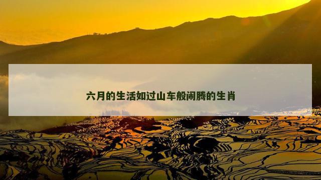 六月的生活如过山车般闹腾的生肖