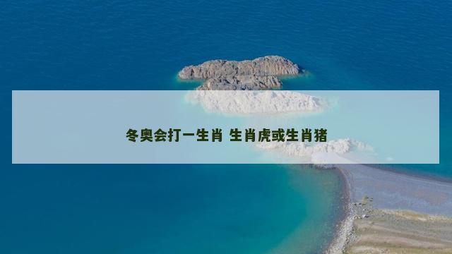 冬奥会打一生肖 生肖虎或生肖猪