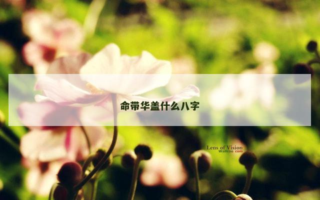 命带华盖什么八字