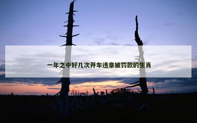 一年之中好几次开车违章被罚款的生肖