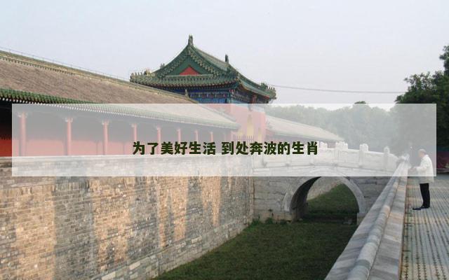 为了美好生活 到处奔波的生肖