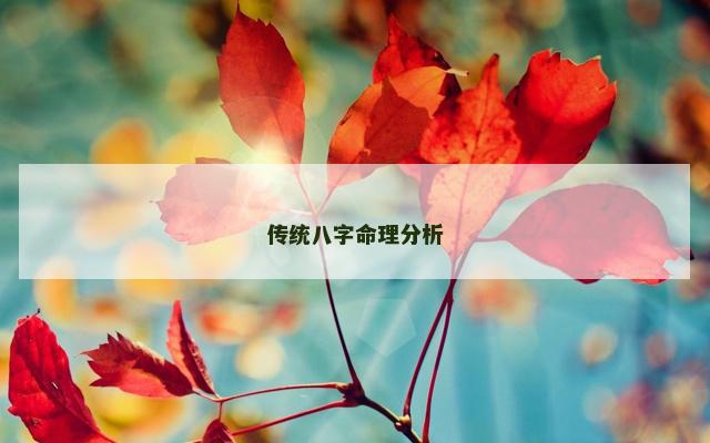 传统八字命理分析