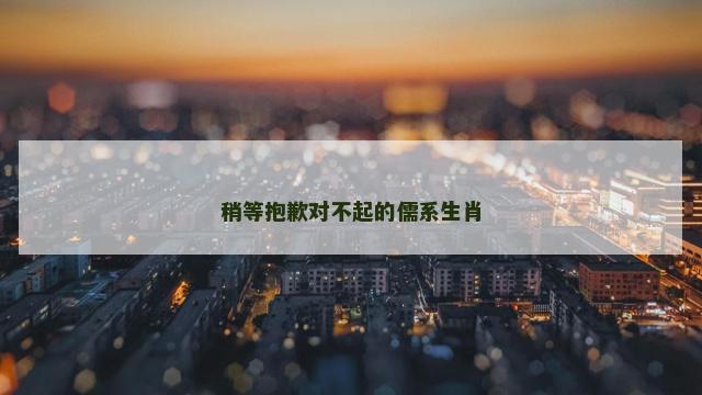 稍等抱歉对不起的儒系生肖