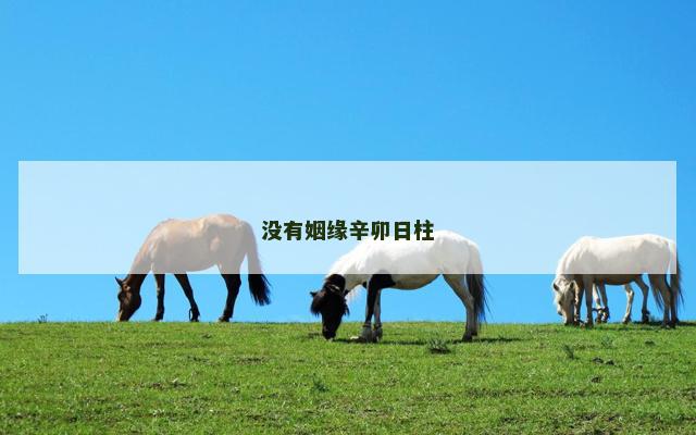 没有姻缘辛卯日柱