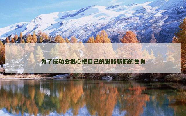 为了成功会狠心把自己的退路斩断的生肖