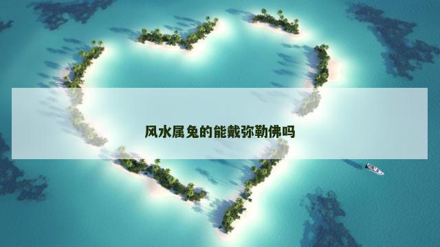 风水属兔的能戴弥勒佛吗
